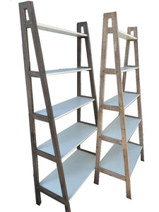 Brady Ladder Bookshelf